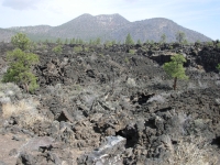 Volcanic Rock at Sunset Crater